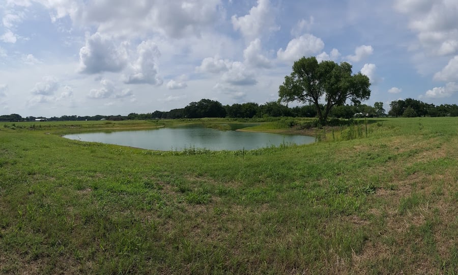 Establishing Vegetation Around Your Pond